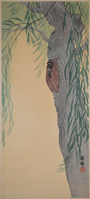 Cicada on Willow Tree by Shoson, Woodblock Print