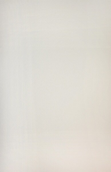 Iris by Yamaguchi, Keisuke (OZ), Painting