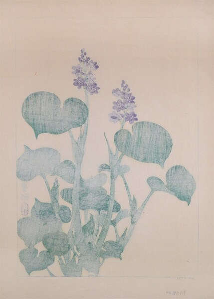 Purple Flowering Hosta by Hoson, Woodblock Print
