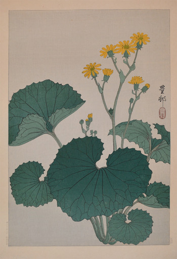 Flowering Ligularia by Hoson, Woodblock Print