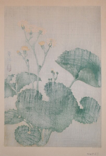 Flowering Ligularia by Hoson, Woodblock Print