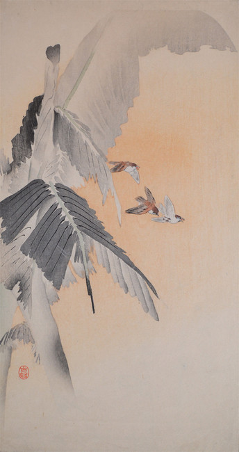 Three Tree Sparrows in Flight Next to Large Banana Leaves by Koson, Woodblock Print