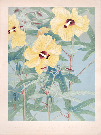 Sunflowers: Yellow Hibiscus by Ikeda, Zuigetsu, Woodblock Print