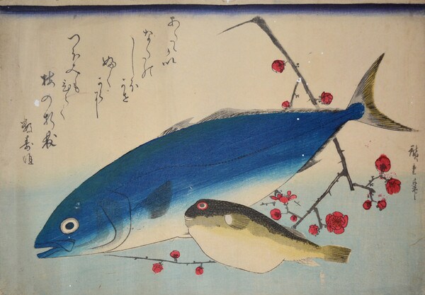 Yellowtail and Blowfish with Plum Blossoms by Hiroshige, Woodblock Print