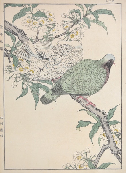 Japanese Plum and Emerald Dove by Keinen, Woodblock Print
