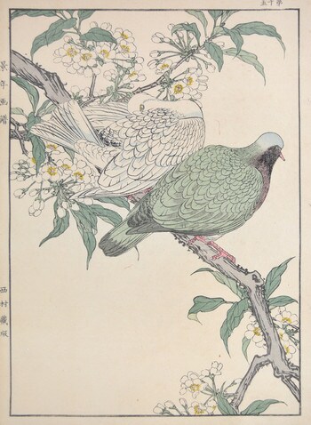 Japanese Plum and Emerald Dove by Keinen, Woodblock Print