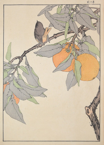 Nuthatch and Satsuma Orange by Keinen, Woodblock Print