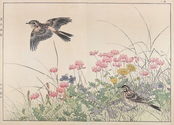 Chinese Milk Vetch, Violet, Dandelion, Field Horsetail and Skylark by Keinen, Woodblock Print