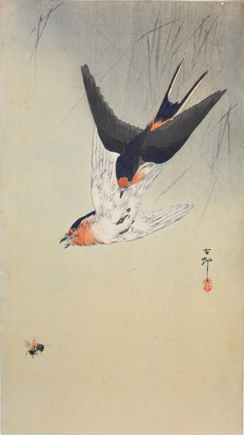 Two Swallows Aiming for Bee by Koson, Woodblock Print