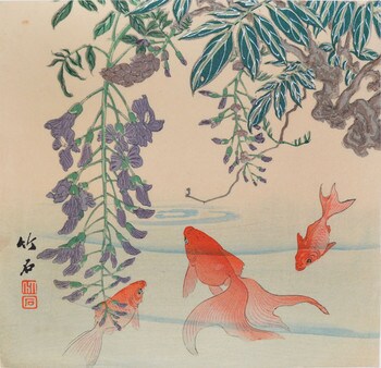 Gold Fish and Wisteria Flower by Chikuseki, Woodblock Print