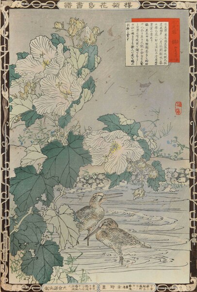 Hibiscus and Sandpipers by Bairei, Woodblock Print