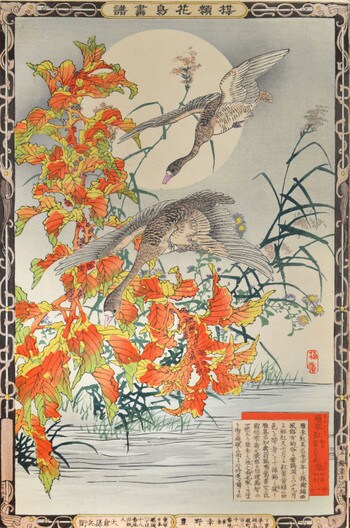 Amaranthus and Geese by Bairei, Woodblock Print