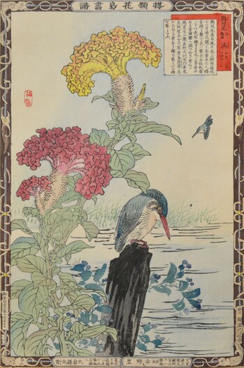 Cockscomb and Kingfisher by Bairei, Woodblock Print