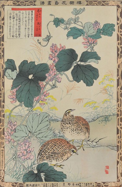 Kudzu Vine and Quails by Bairei, Woodblock Print