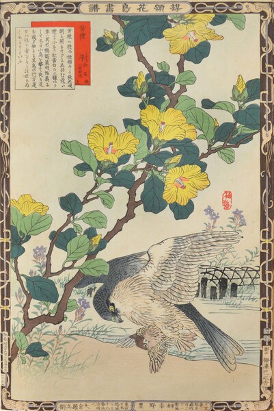 Linden Hibiscus and Falcon by Bairei, Woodblock Print