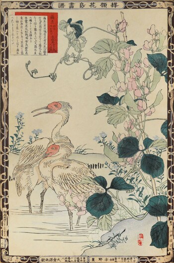 Snowpea and Ibis by Bairei, Woodblock Print