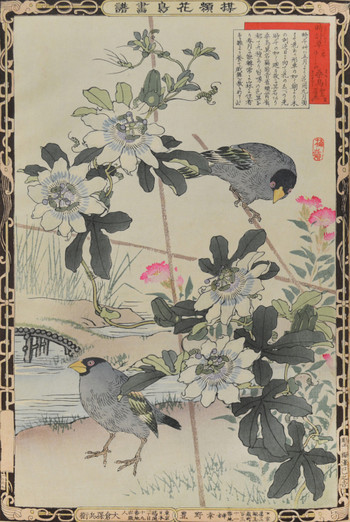 Passion Flower and Japanese Grosbeak by Bairei, Woodblock Print