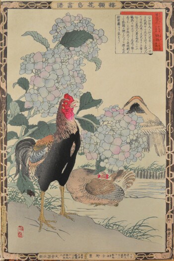 Hydrangea and Gamecock by Bairei, Woodblock Print