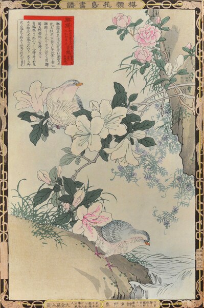 Azalea and Doves by Bairei, Woodblock Print