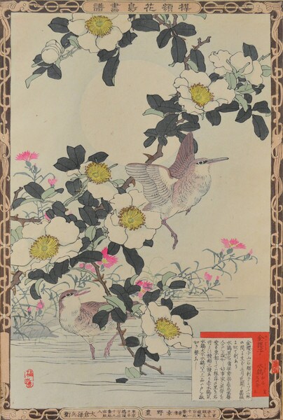 Rosa Laevigata and Water Rail by Bairei, Woodblock Print