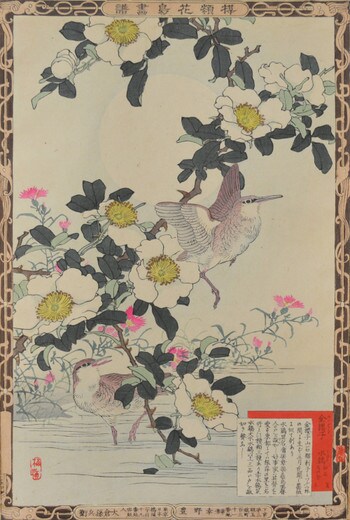 Rosa Laevigata and Water Rail by Bairei, Woodblock Print