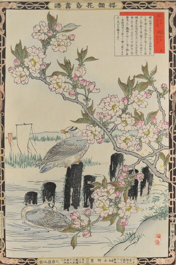 Cherry and Gulls by Bairei, Woodblock Print