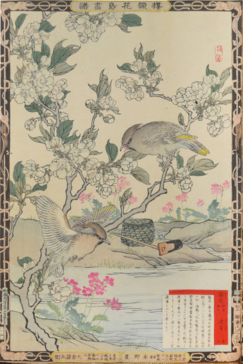 Pear Flowers and Japanese Waxwings by Bairei, Woodblock Print