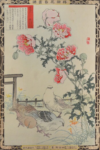 Poppy and Pigeons by Bairei, Woodblock Print