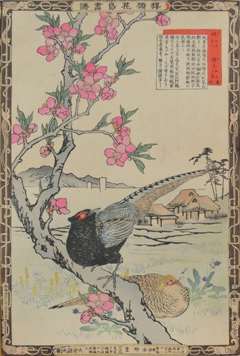 Peach Blossoms and Pheasants by Bairei, Woodblock Print