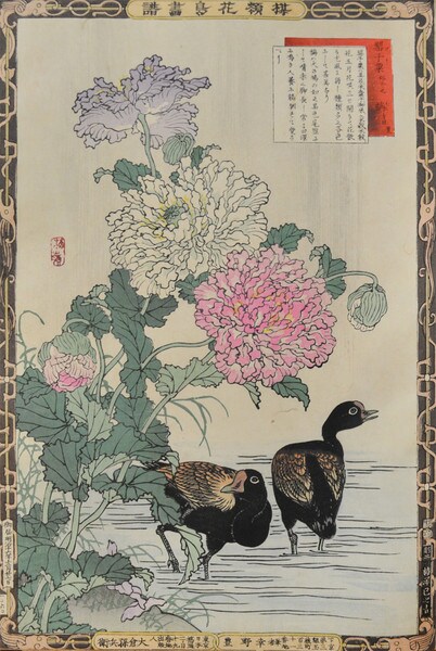 Poppy and Moorhens by Bairei, Woodblock Print