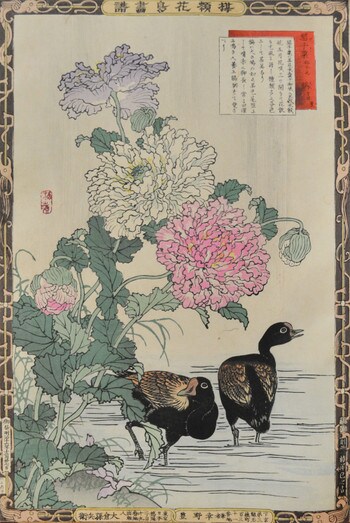 Poppy and Moorhens by Bairei, Woodblock Print