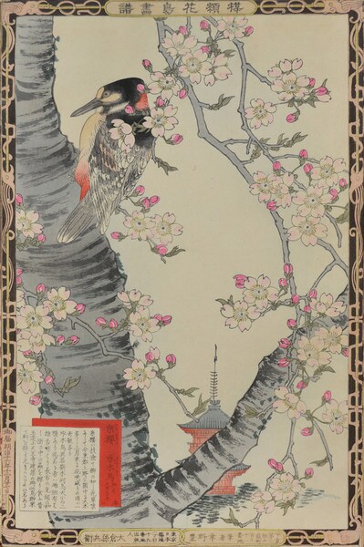 Cherry Tree and Woodpeckers by Bairei, Woodblock Print