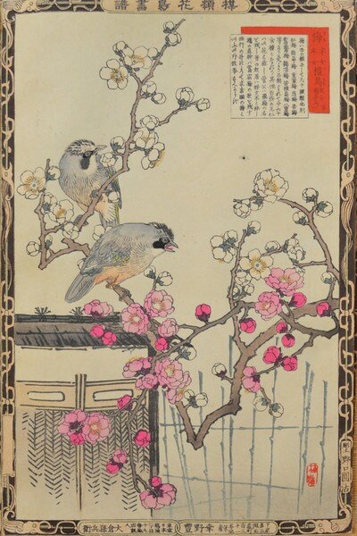Plum Blossoms and Jays by Bairei, Woodblock Print