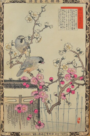 Plum Blossoms and Jays by Bairei, Woodblock Print