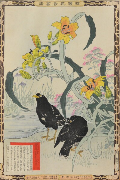 Daylily and Myna by Bairei, Woodblock Print