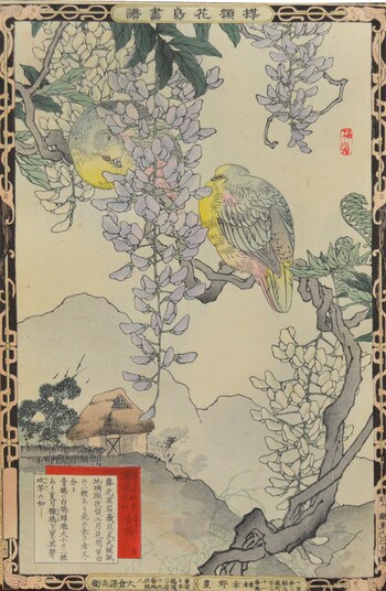 Wisteria Flower and Doves by Bairei, Woodblock Print