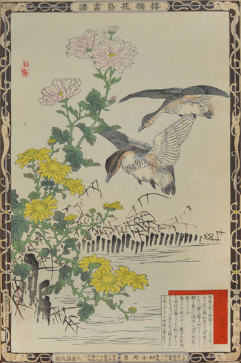 Chrysanthemums and Ajikamo by Bairei, Woodblock Print
