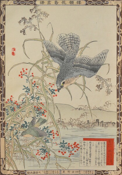 Reeds and Hashitaka by Bairei, Woodblock Print