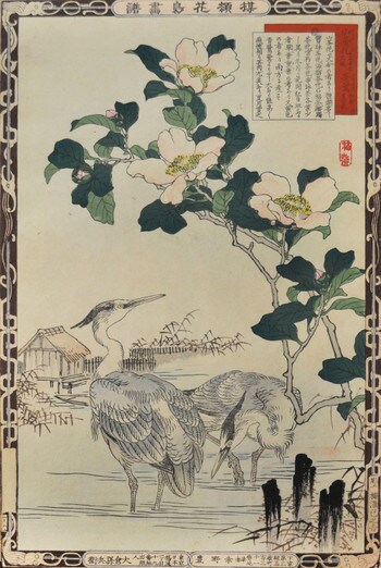 Sasanqua and Grey Herons by Bairei, Woodblock Print