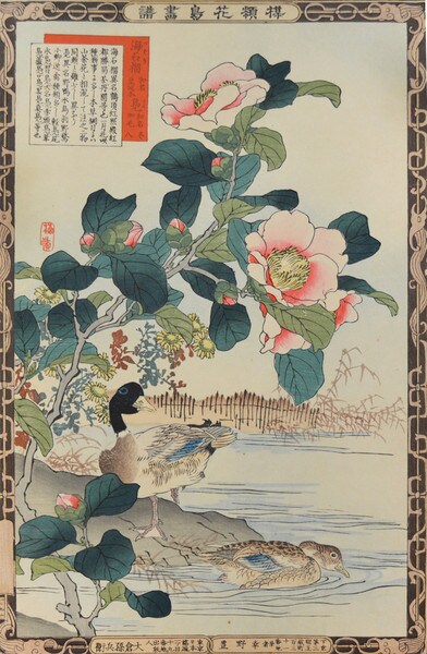 Camellia and Ducks by Bairei, Woodblock Print
