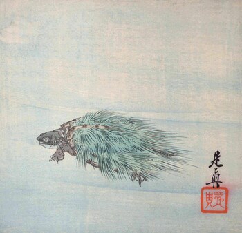 Minogame Tortoise by Zeshin, Woodblock Print