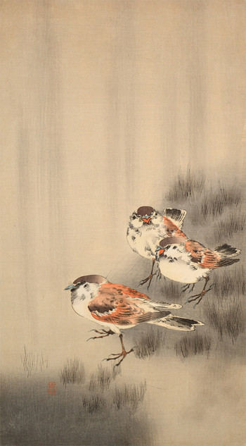 Three Sparrows in Spring Shower by Koson, Woodblock Print