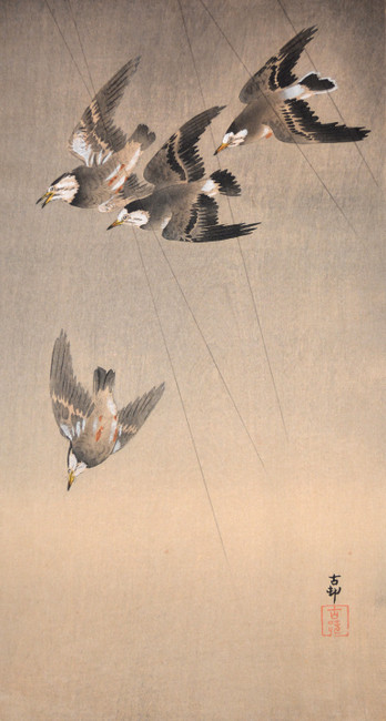 Starlings in Flight During Rain Storm by Koson, Woodblock Print