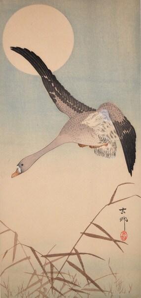 Whitefronted Goose and Full Moon by Koson, Woodblock Print