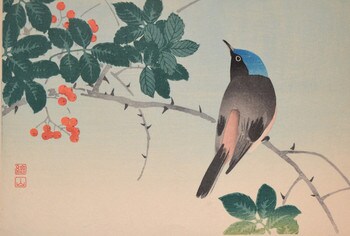 Song Bird on Branch with Red Berries by Sozan, Woodblock Print