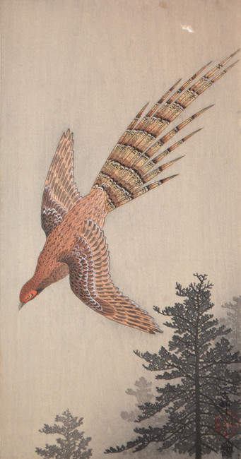 Flight of Pheasant by Koson, Woodblock Print