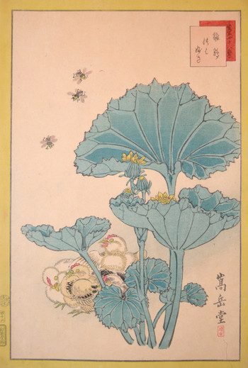 Chicks, Bees and Tsuwabuki by Sugakudo, Woodblock Print