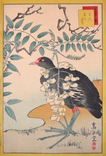 Ban Bird and White Wisteria by Sugakudo, Woodblock Print