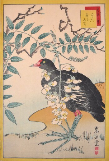 Ban Bird and White Wisteria by Sugakudo, Woodblock Print
