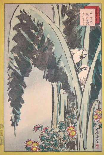 White Sparrows and Banana Leaves by Sugakudo, Woodblock Print